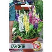 Люпин Сан Сити 10шт Биотехника