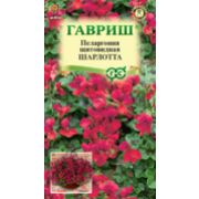 Пеларгония Шарлотта щитовидная ампельная 3шт Гавриш
