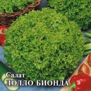Салат Лолло Бионда 0,5 г листовой,зеленый б/п Гавриш