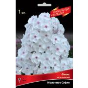 Флокс Молочное Суфле метельчатый 1шт Сиб Сад