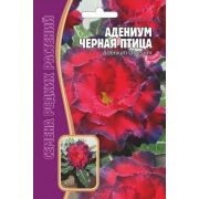 Адениум Чёрная Птица 3шт Ред.сем