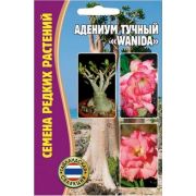 Адениум тучный Wanida 3шт Ред.Сем