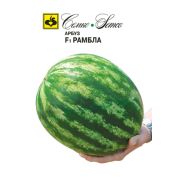 Арбуз Рамбла F1 10шт Семко