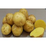 Картофель Гала 1 репродукция 1кг 215р