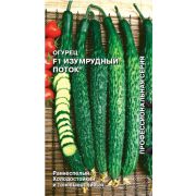 Огурец Изумрудный Поток F1 0,2г Седек 84р