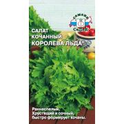 Салат Королева Льда (Кочанный) 0,5г Седек 30р