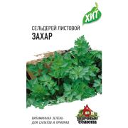 Сельдерей Захар листовой 0,1г ХИТ  Гавриш