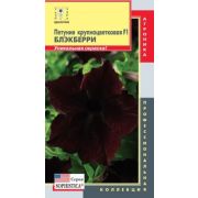 Петуния Блэкберри крупноцветковая F1 серия Sophistica 5 драже Агроника
