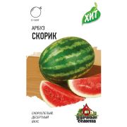 Арбуз Скорик 1,0 г ХИТ Гавриш