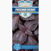 Базилик Русский гигант, фиолетовый 0,1г Русский богатырь Гавриш