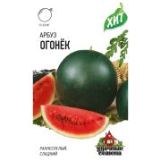 Арбуз Огонёк 1г Хит Гавриш