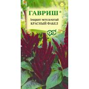 Амарант Красный факел 0,2г Гавриш
