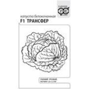 Капуста б/к Трансфер F1 0,1г б/п Гавриш