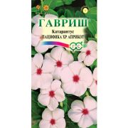 Катарантус Пацифика XP Априкот 7шт Гавриш