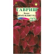Колеус Визард Вельвет ред 4шт Гавриш