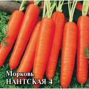 Морковь Нантская 4  25,0 г Гавриш