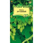 Хмель обыкновенный Дружный 0,1г Гавриш
