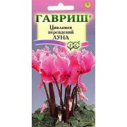 Цикламен Луна персидский 3шт Гавриш
