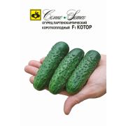 Огурец Котор F1 10шт Семко