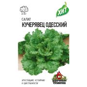 Салат Кучерявец Одесский 0,5 г ХИТ Гавриш