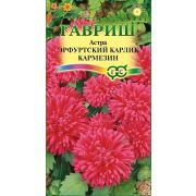 Астра Эрфуртский карлик Кармезин 0,3г красный Гавриш