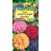 Астра Эрфуртский карлик смесь 0,3г Гавриш