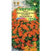 Бархатцы тонколист. Карина оранжевая (Тагетес) 0,05г Гавриш
