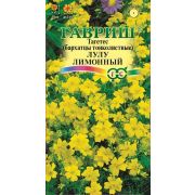 Бархатцы тонколист. Лулу лимонный (Тагетес) 0,05г Гавриш