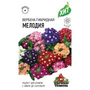 Вербена Мелодия 0,05г ХИТ Гавриш