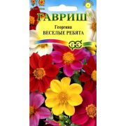 Георгина Весёлые ребята 0,3 г Гавриш