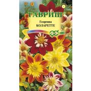 Георгина Коларетте  0,2г Гавриш