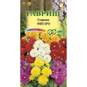 Георгина Фигаро 7шт Гавриш