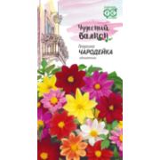 Георгина Чародейка, смесь 0,3г Гавриш