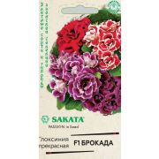 Глоксиния Брокада F1 5шт (Саката) Гавриш