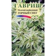 Молочай Горный снег окаймленный 0,5г Гавриш