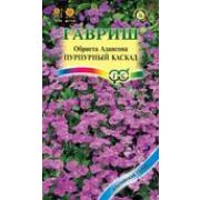 Обриета Пурпурный каскад 0,05г Альпийская горка