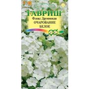 Флокс Очарование белое 0,05г Гавриш