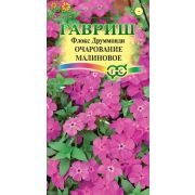 Флокс Очарование малиновое, друммонда 0,05г Гавриш