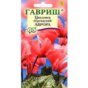 Цикламен Аврора персидский 3шт Гавриш