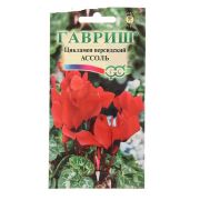 Цикламен Ассоль персидский 3шт Гавриш