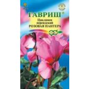 Цикламен Розовая пантера персидский 3 шт Гавриш