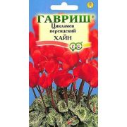 Цикламен Хайн 3шт Гавриш