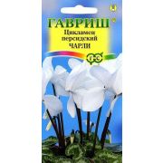 Цикламен Чарли персидский 3шт Гавриш