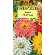 Цинния Подружки, низкорослая кактусовидная смесь  0,2г Гавриш