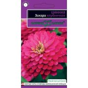 Цинния Захара вишнёвая 5шт Гавриш