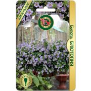 Бакопа Блютопия 5шт Биотехника