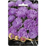 Астра Май Леди Лилак 30шт Биотехника