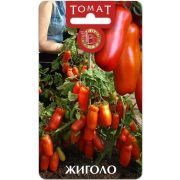 Томат Жиголо 20шт Биотехника