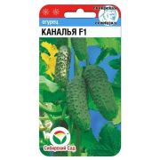 Огурец Каналья 7шт Сиб Сад