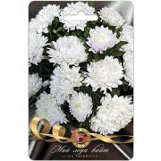 Астра Май Леди Вайт 30шт Биотехника